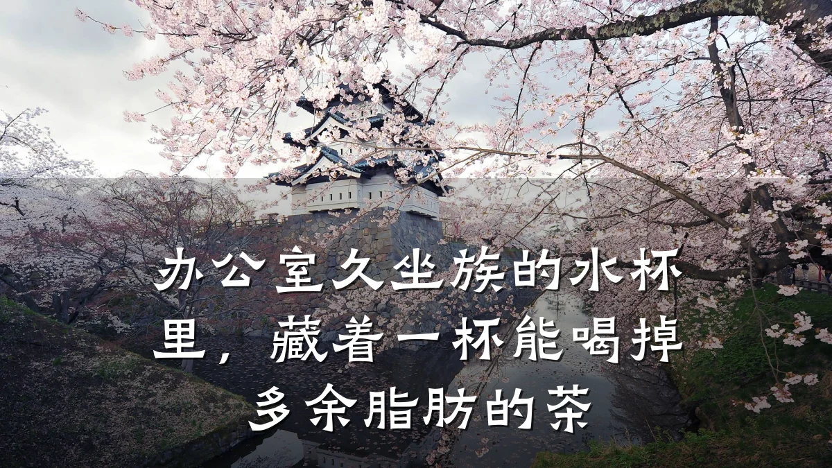 办公室久坐族的水杯里，藏着一杯能喝掉多余脂肪的茶
