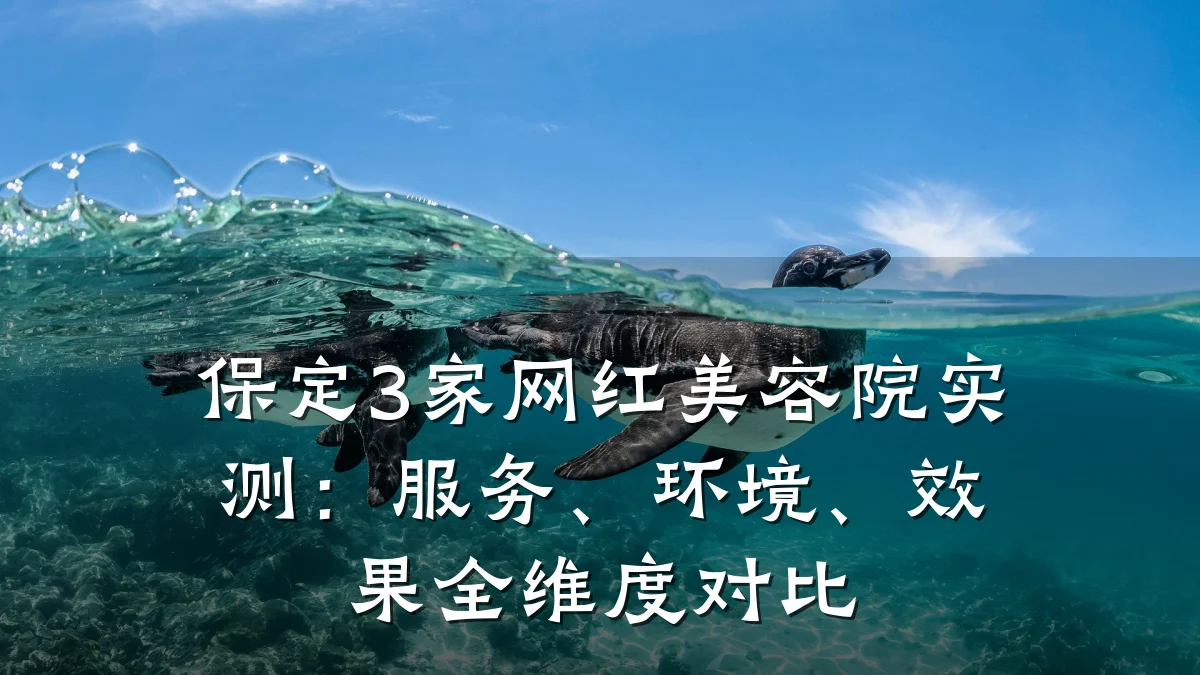 保定3家网红美容院实测:服务、环境、效果全维度对比