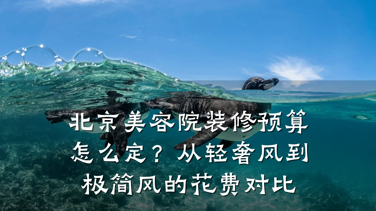 北京美容院装修预算怎么定？从轻奢风到极简风的花费对比