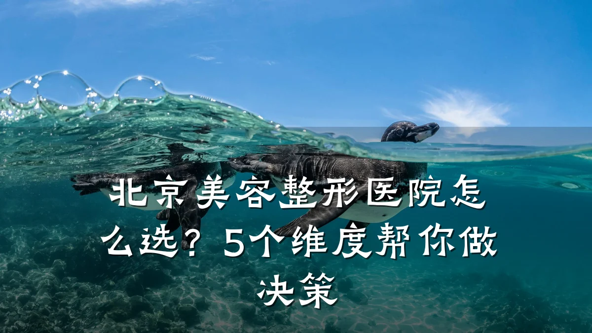 北京美容整形医院怎么选？5个维度帮你做决策