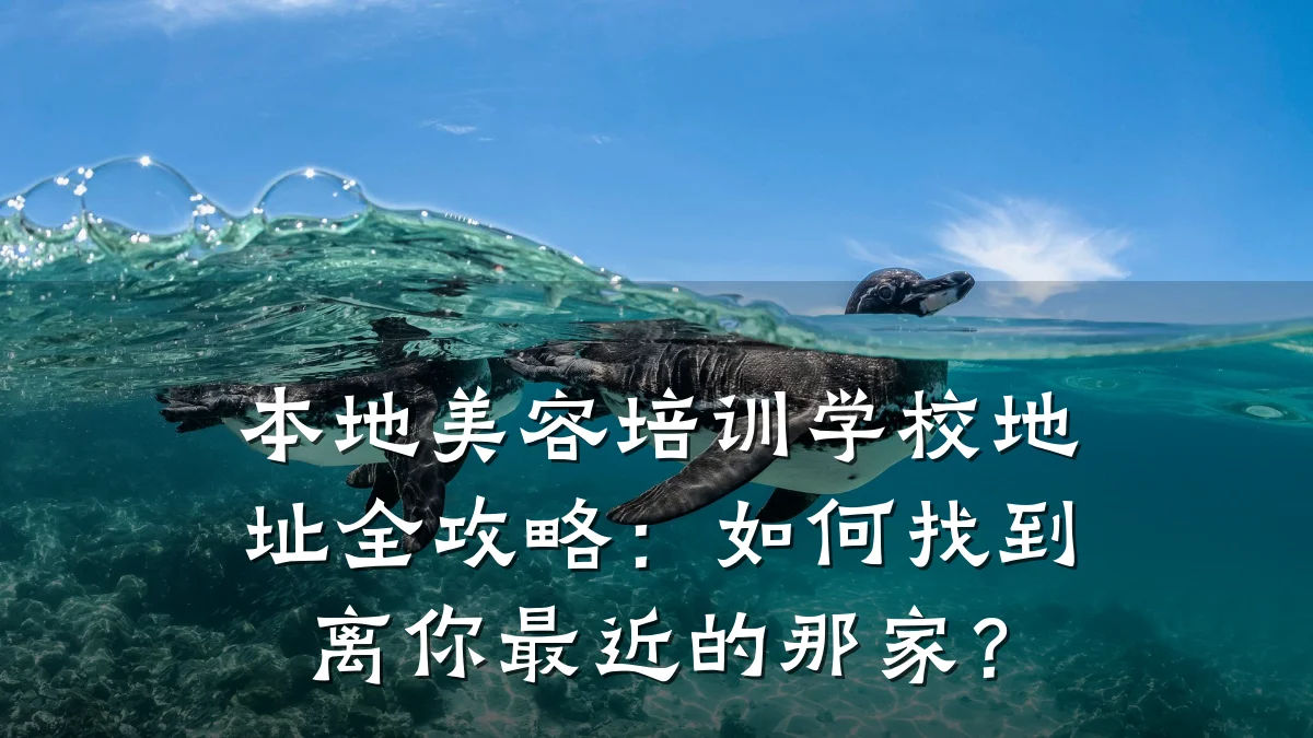 本地美容培训学校地址全攻略:如何找到离你最近的那家?