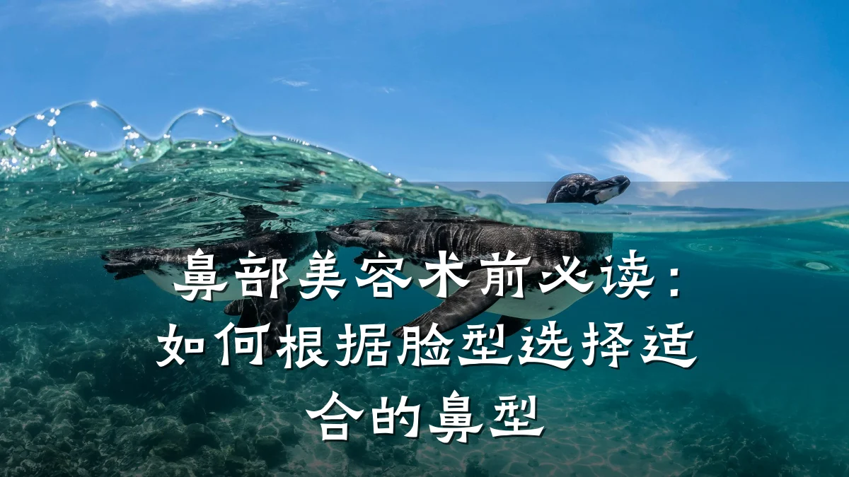 鼻部美容术前必读：如何根据脸型选择适合的鼻型