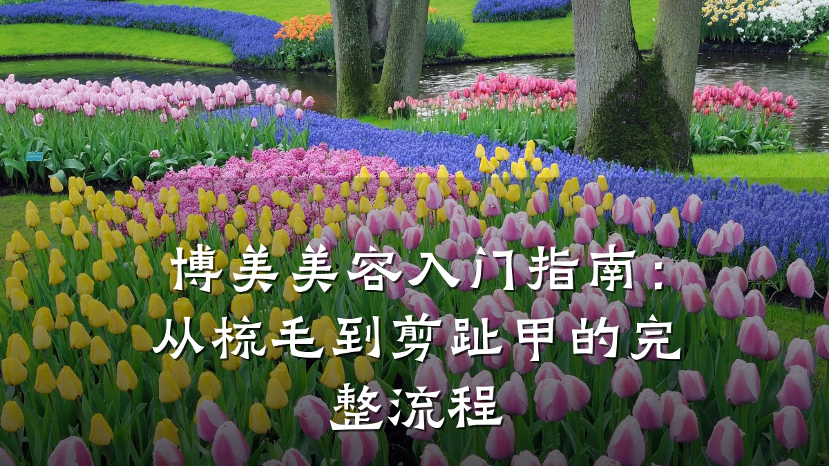 博美美容入门指南:从梳毛到剪趾甲的完整流程