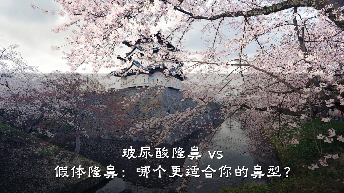 玻尿酸隆鼻 vs 假体隆鼻:哪个更适合你的鼻型?