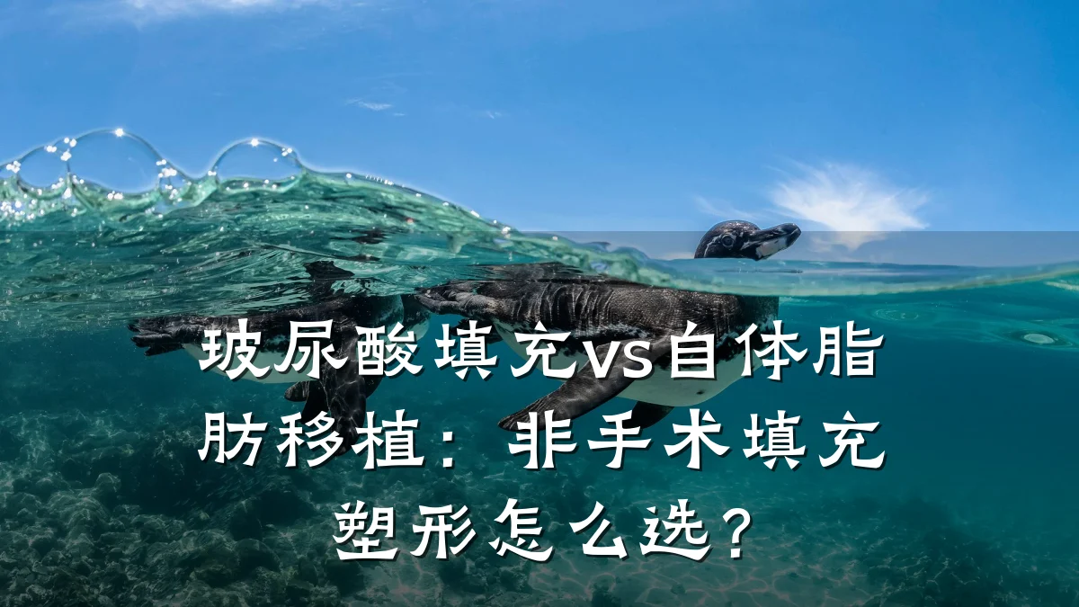 玻尿酸填充vs自体脂肪移植：非手术填充塑形怎么选？