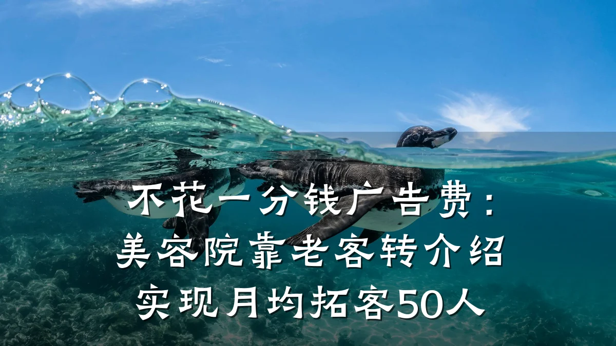 不花一分钱广告费：美容院靠老客转介绍实现月均拓客50人