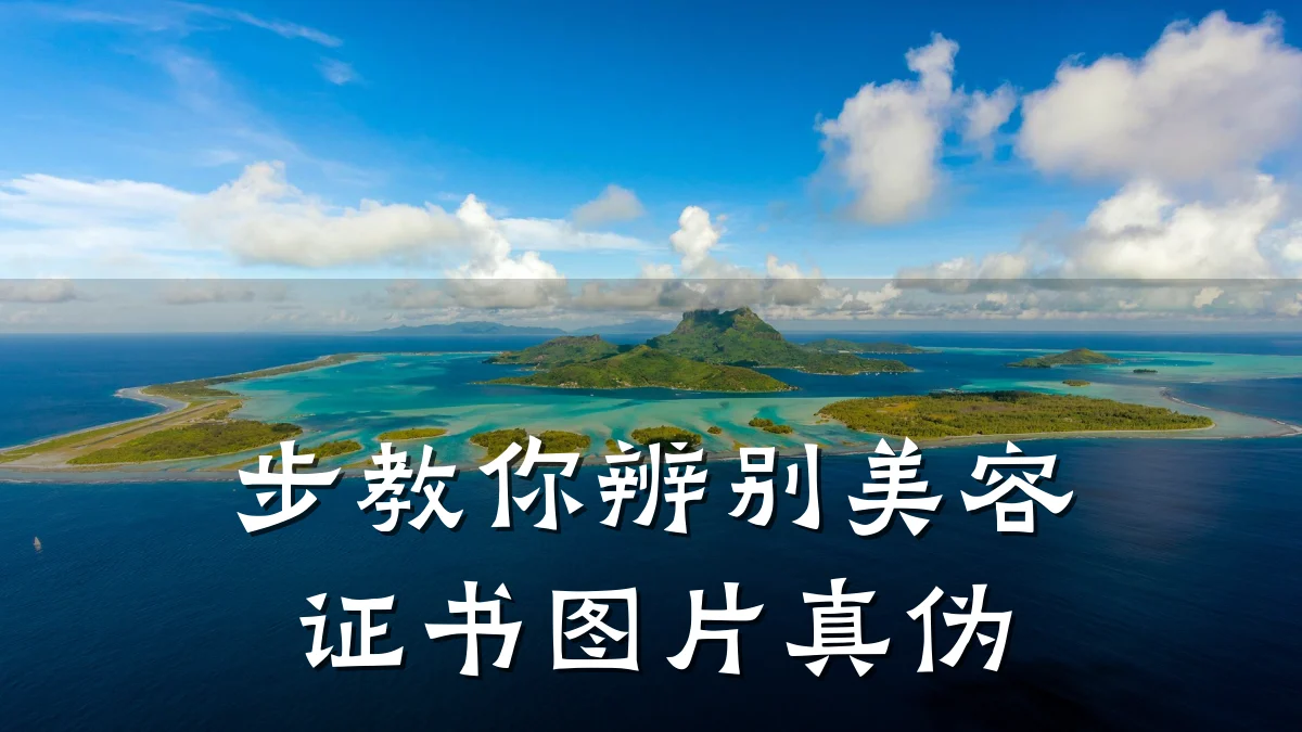 步教你辨别美容证书图片真伪