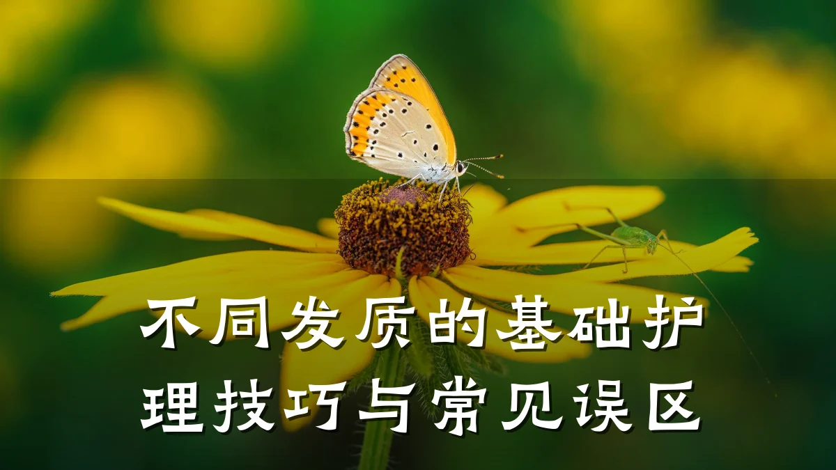 不同发质的基础护理技巧与常见误区