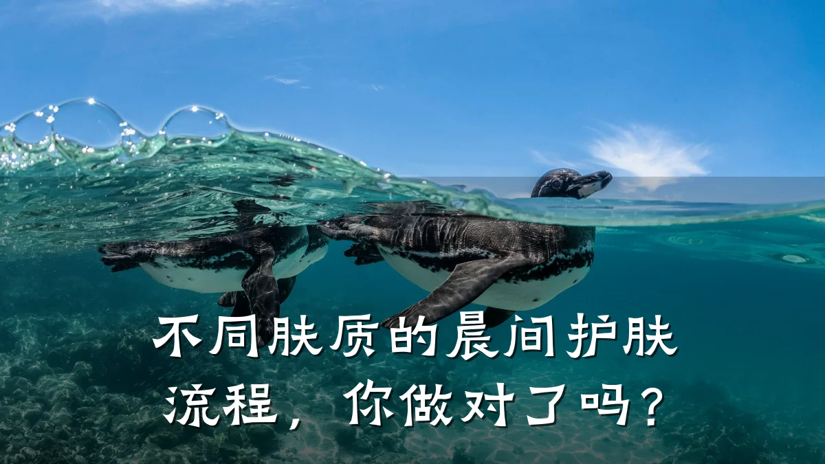 不同肤质的晨间护肤流程，你做对了吗？