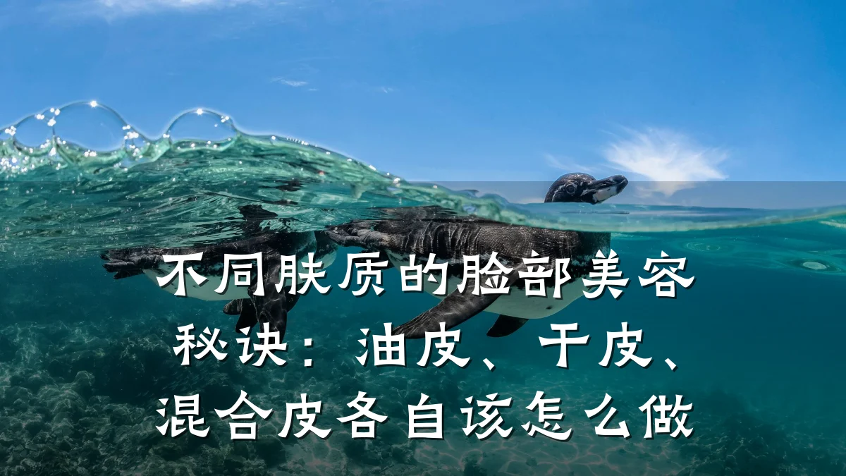 不同肤质的脸部美容秘诀:油皮、干皮、混合皮各自该怎么做