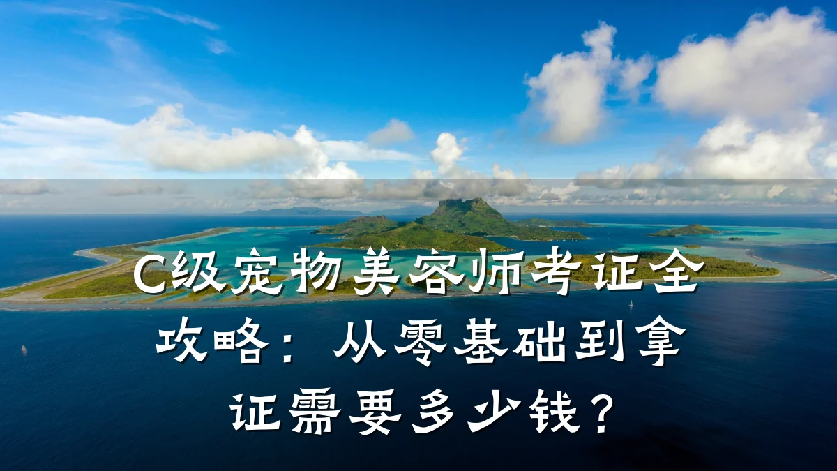 C级宠物美容师考证全攻略：从零基础到拿证需要多少钱？