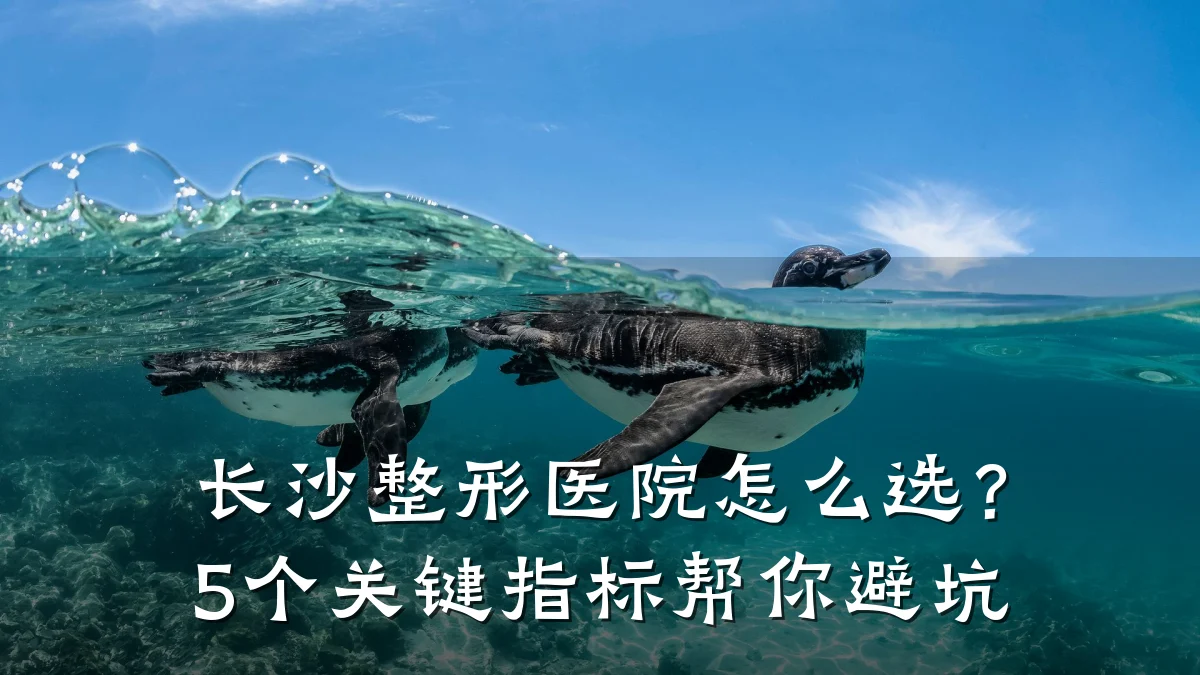 长沙整形医院怎么选？5个关键指标帮你避坑