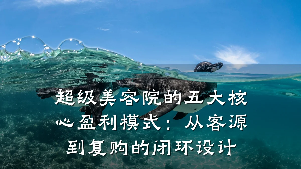 超级美容院的五大核心盈利模式：从客源到复购的闭环设计
