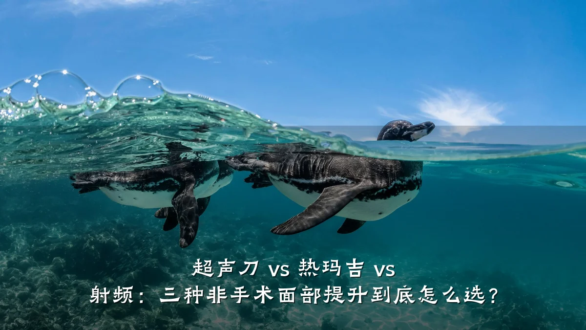 超声刀 vs 热玛吉 vs 射频：三种非手术面部提升到底怎么选？