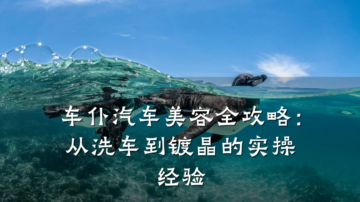 车仆汽车美容全攻略：从洗车到镀晶的实操经验