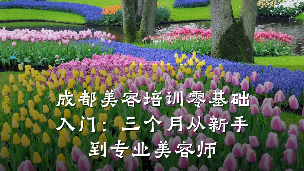 成都美容培训零基础入门:三个月从新手到专业美容师