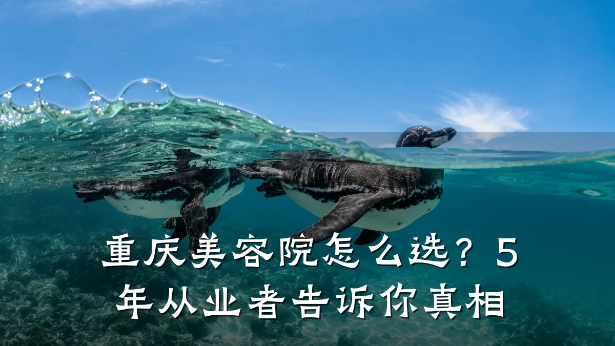重庆美容院怎么选?5年从业者告诉你真相