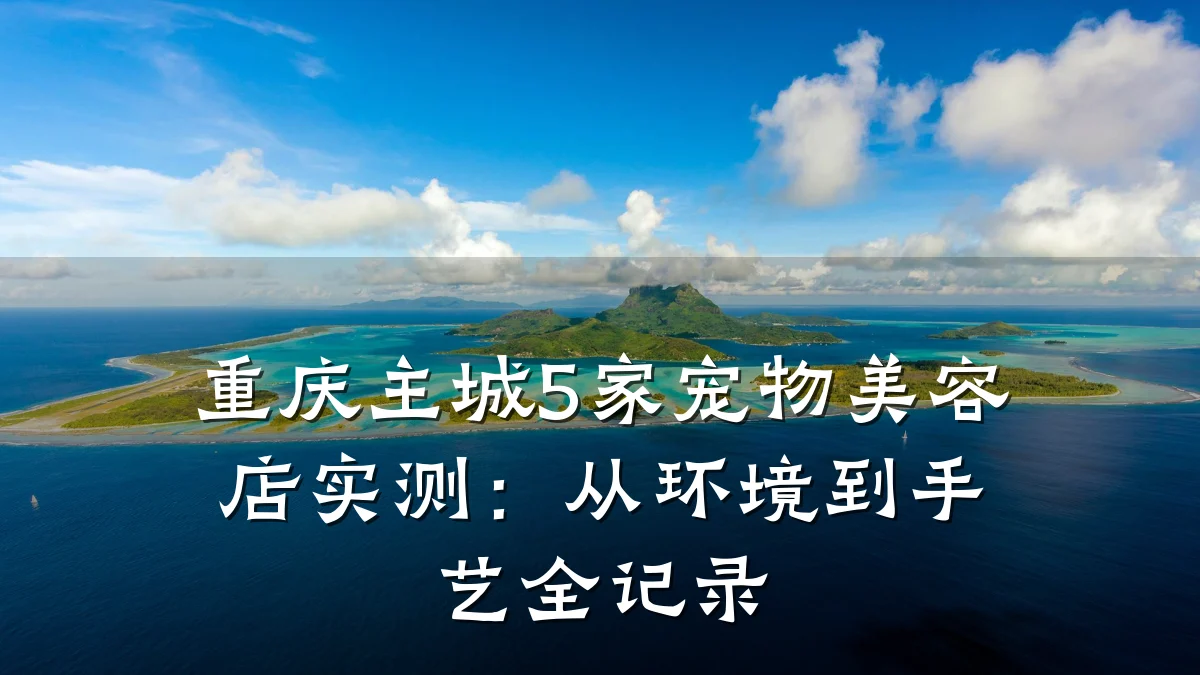 重庆主城5家宠物美容店实测：从环境到手艺全记录