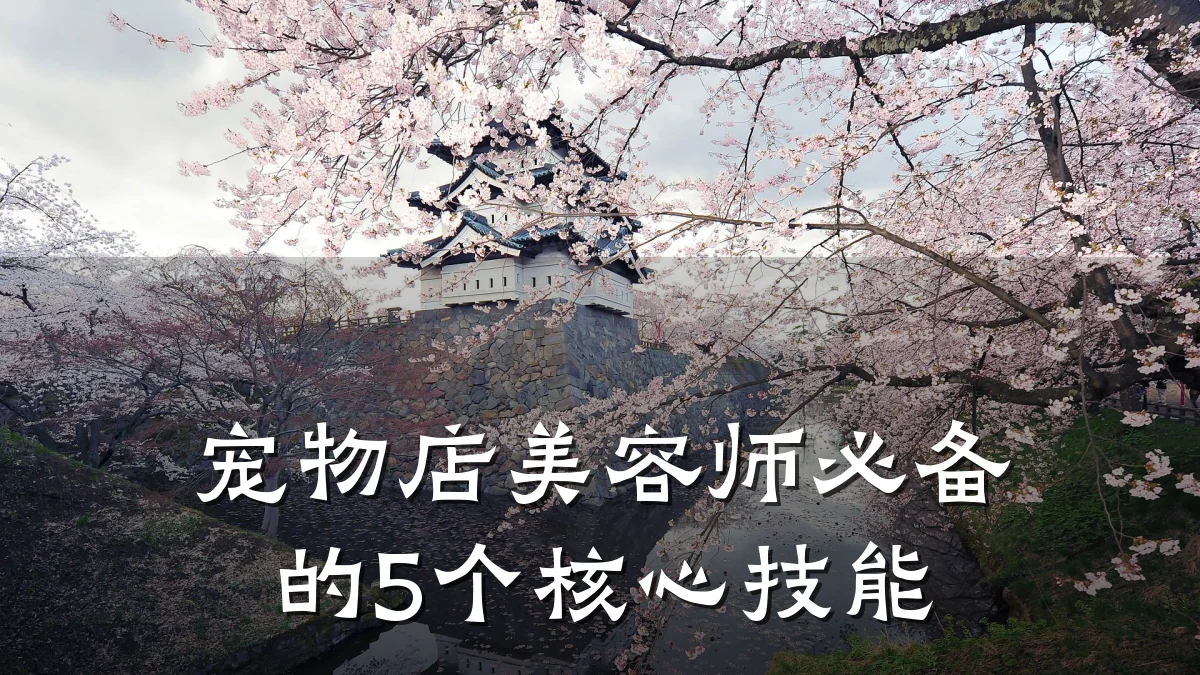 宠物店美容师必备的5个核心技能