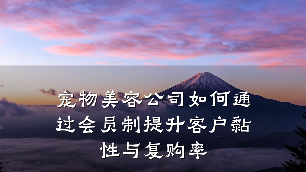 宠物美容公司如何通过会员制提升客户黏性与复购率