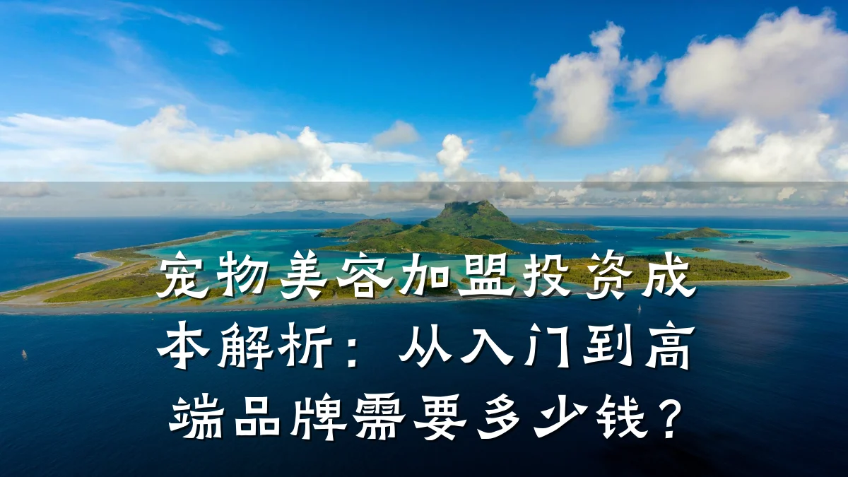 宠物美容加盟投资成本解析：从入门到高端品牌需要多少钱？