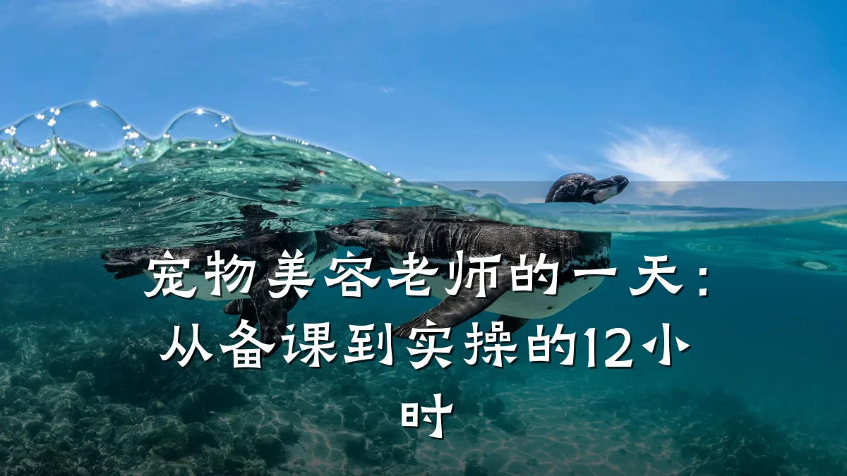 宠物美容老师的一天：从备课到实操的12小时