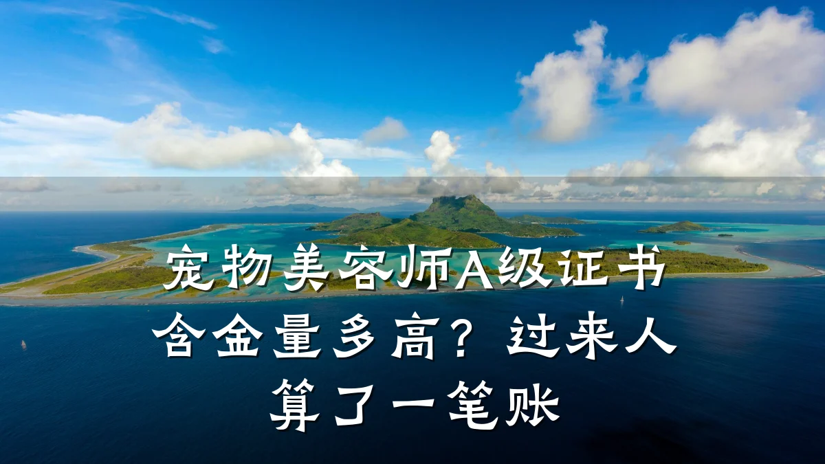 宠物美容师A级证书含金量多高？过来人算了一笔账