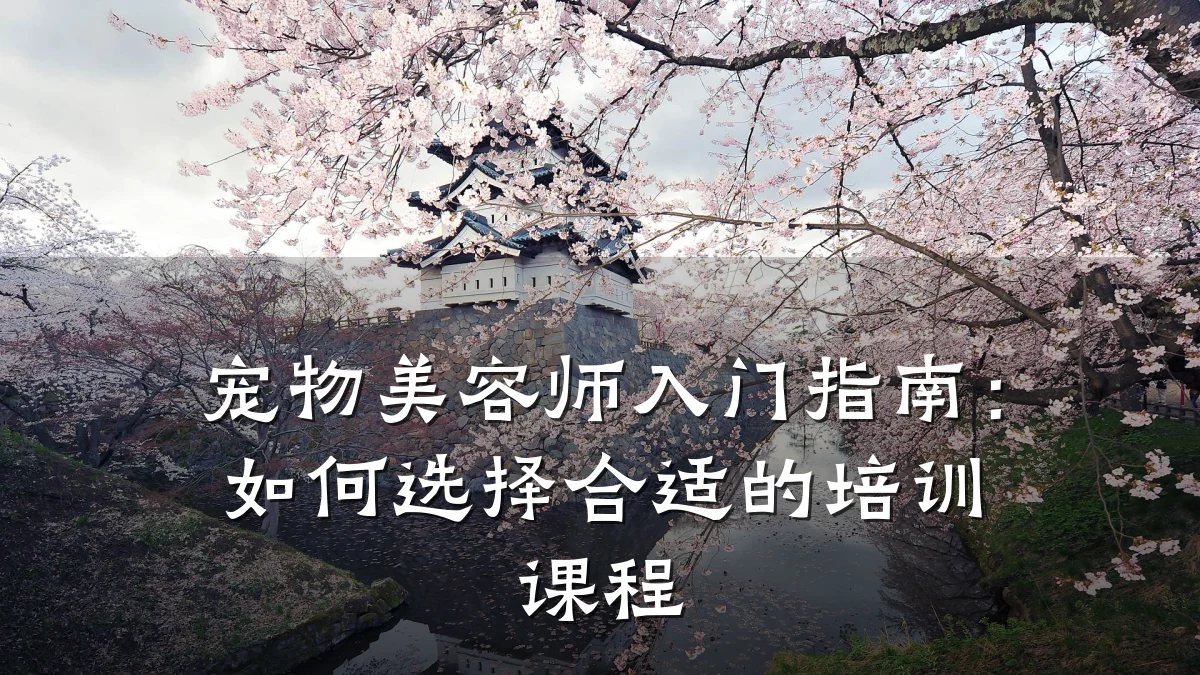 宠物美容师入门指南：如何选择合适的培训课程
