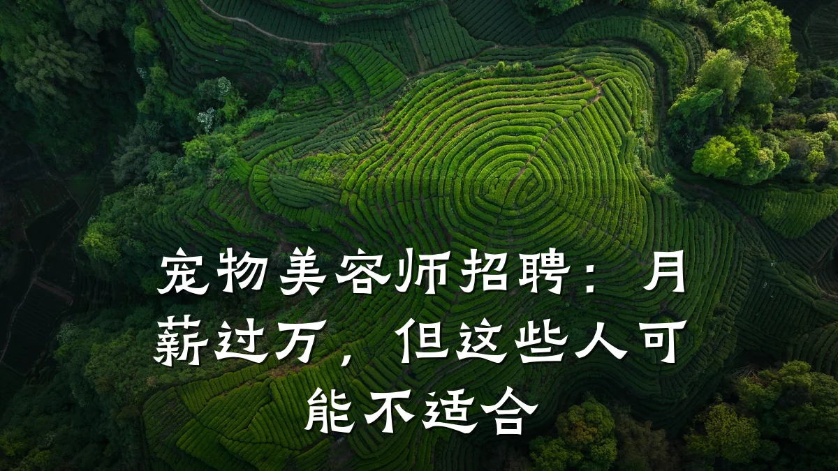 宠物美容师招聘：月薪过万，但这些人可能不适合