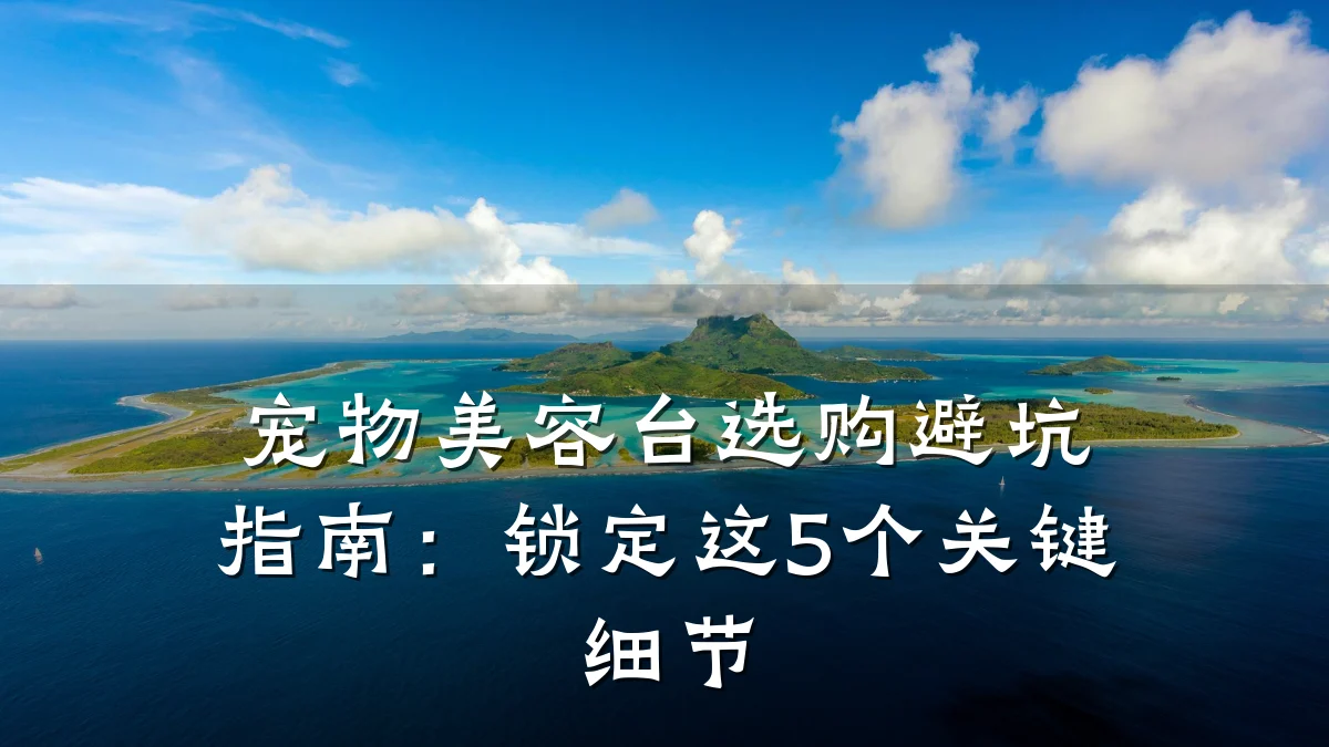宠物美容台选购避坑指南:锁定这5个关键细节