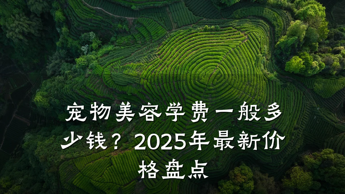 宠物美容学费一般多少钱？2025年最新价格盘点