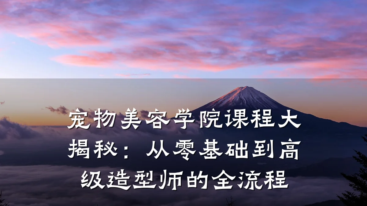宠物美容学院课程大揭秘：从零基础到高级造型师的全流程