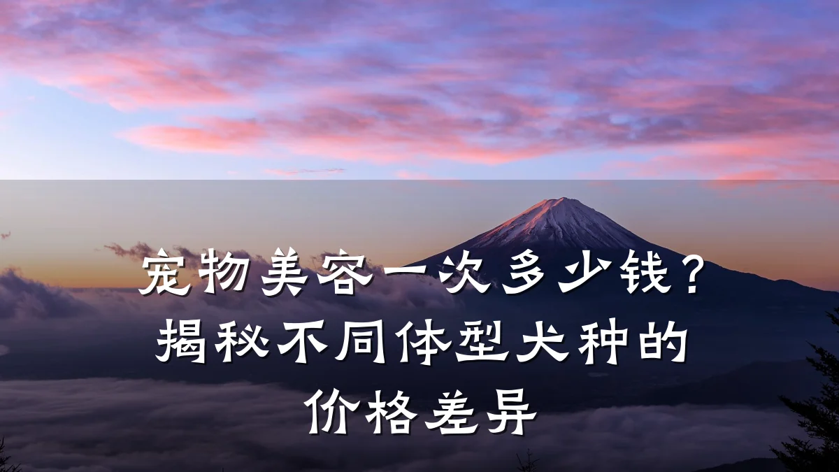宠物美容一次多少钱？揭秘不同体型犬种的价格差异