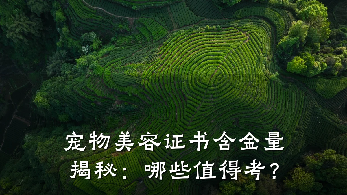 宠物美容证书含金量揭秘：哪些值得考？