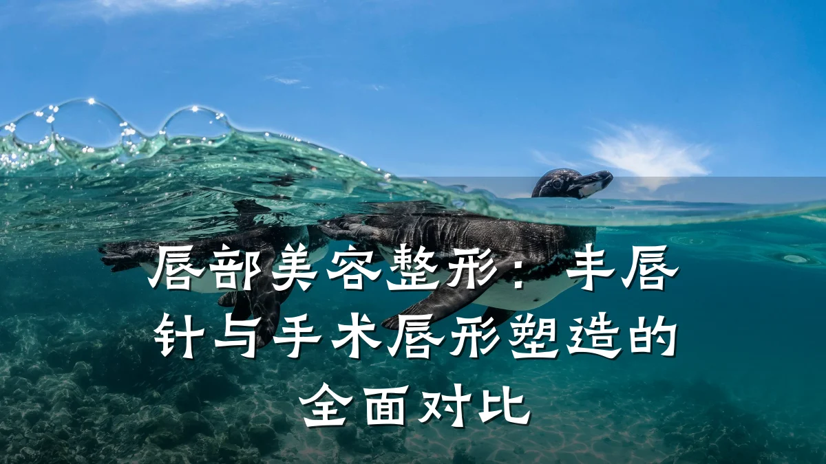 唇部美容整形：丰唇针与手术唇形塑造的全面对比