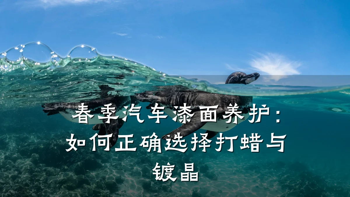 春季汽车漆面养护:如何正确选择打蜡与镀晶