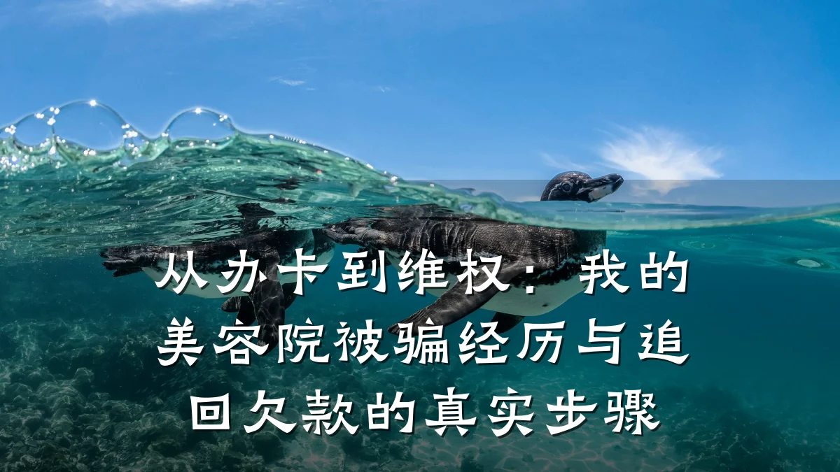 从办卡到维权:我的美容院被骗经历与追回欠款的真实步骤