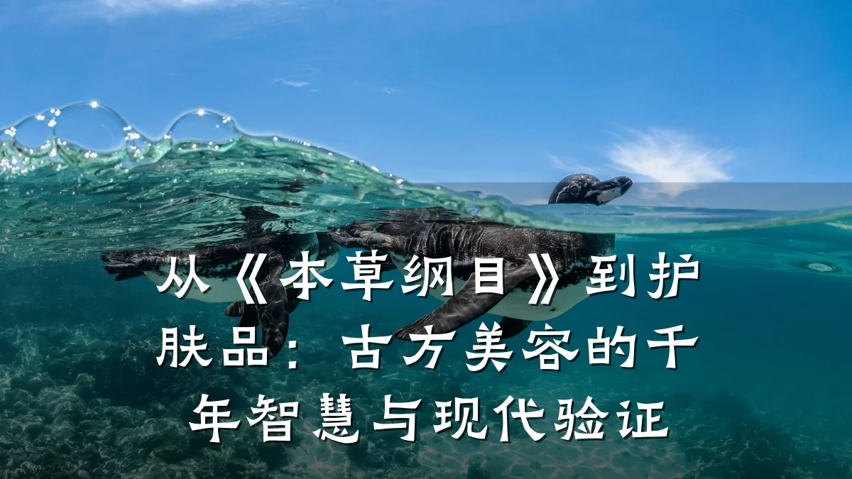 从《本草纲目》到护肤品:古方美容的千年智慧与现代验证