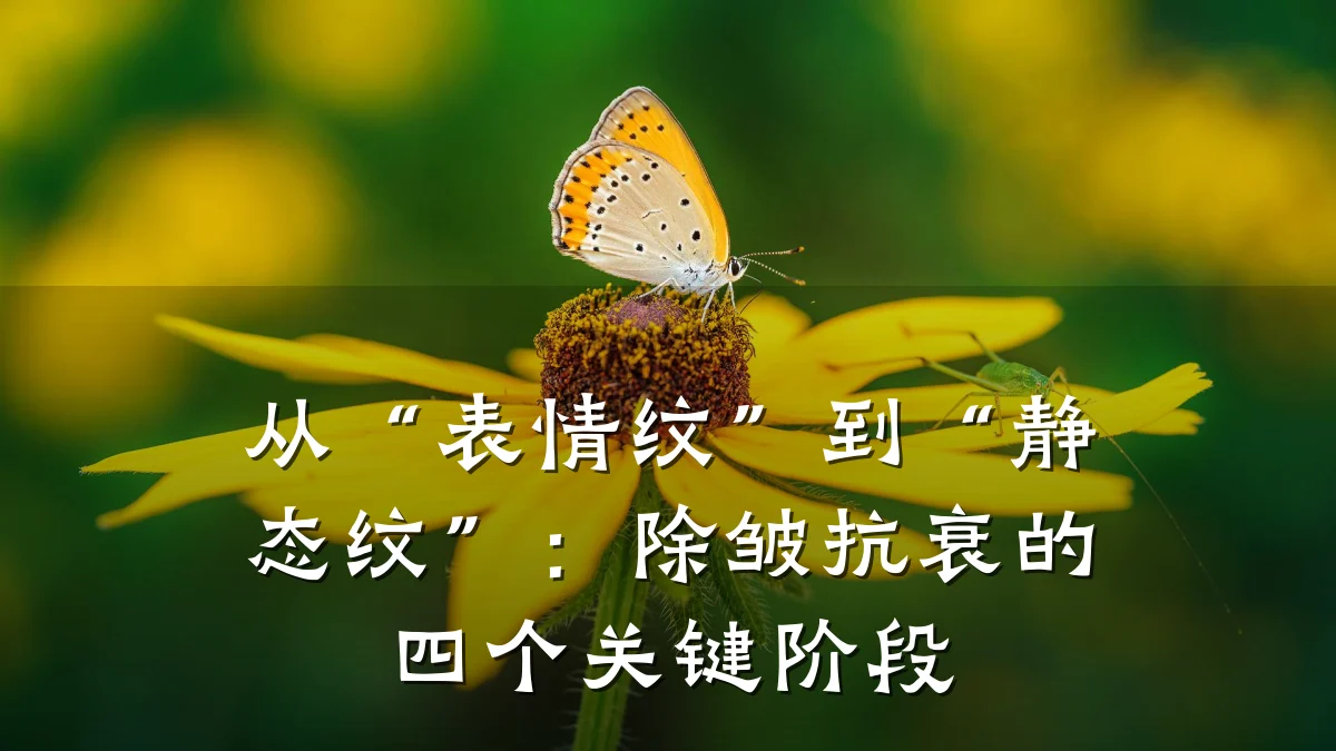 从“表情纹”到“静态纹”:除皱抗衰的四个关键阶段
