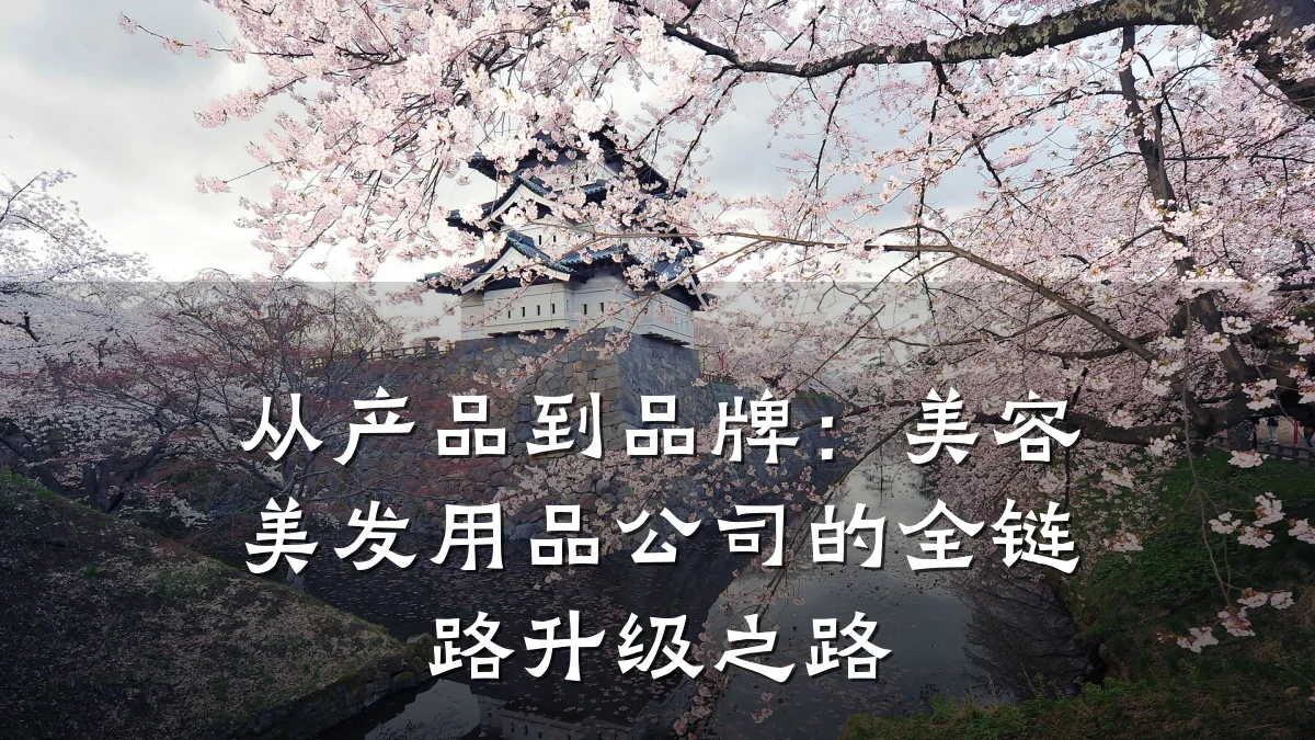从产品到品牌：美容美发用品公司的全链路升级之路