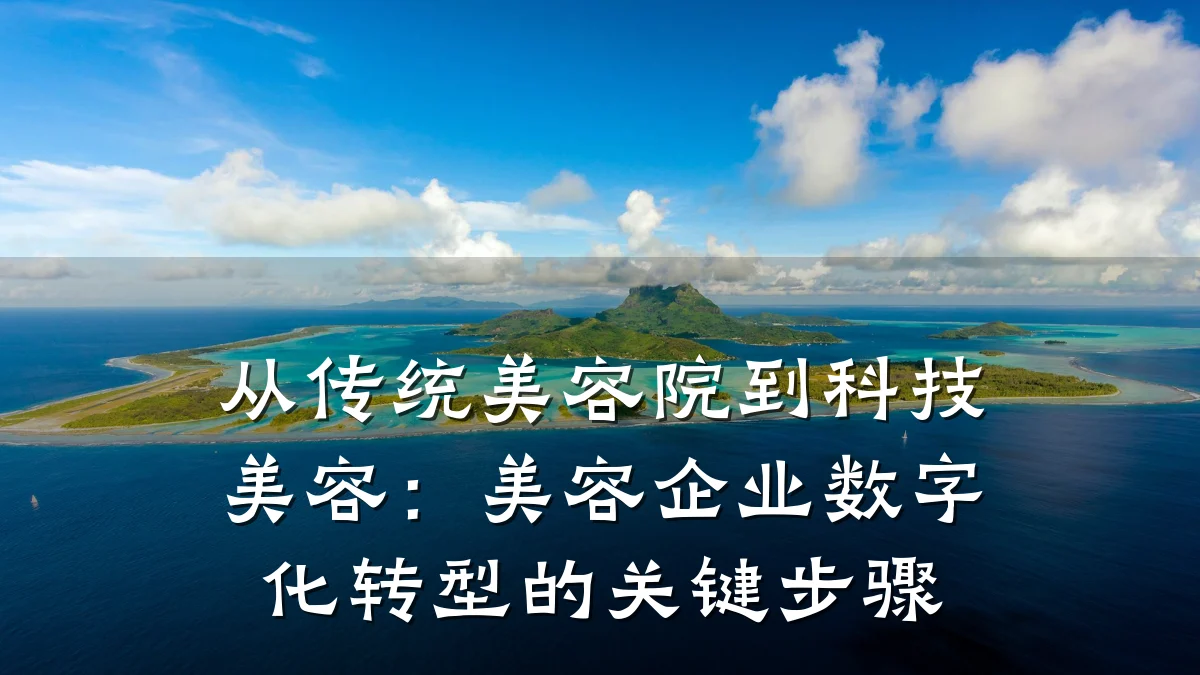 从传统美容院到科技美容：美容企业数字化转型的关键步骤