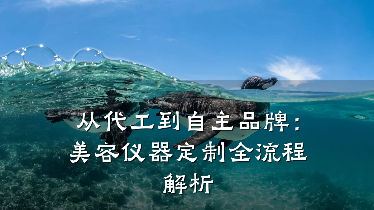 从代工到自主品牌：美容仪器定制全流程解析