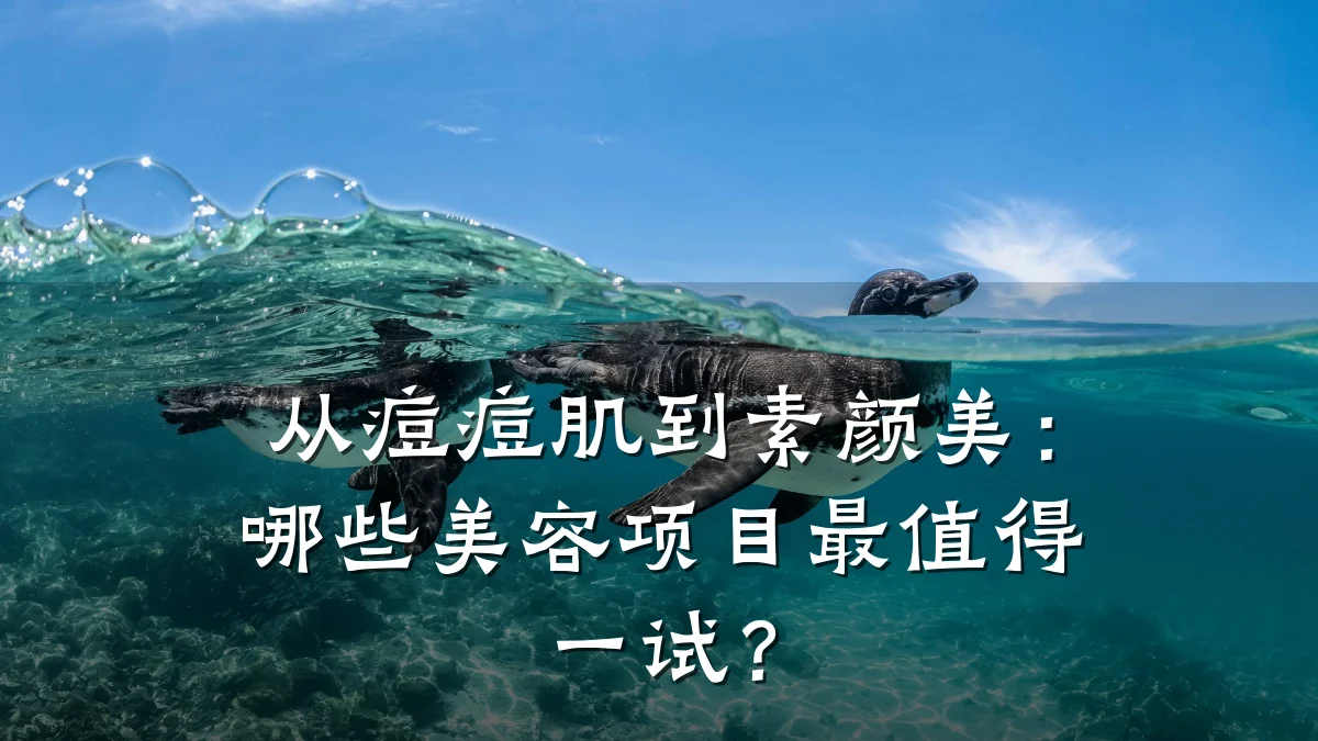 从痘痘肌到素颜美：哪些美容项目最值得一试？