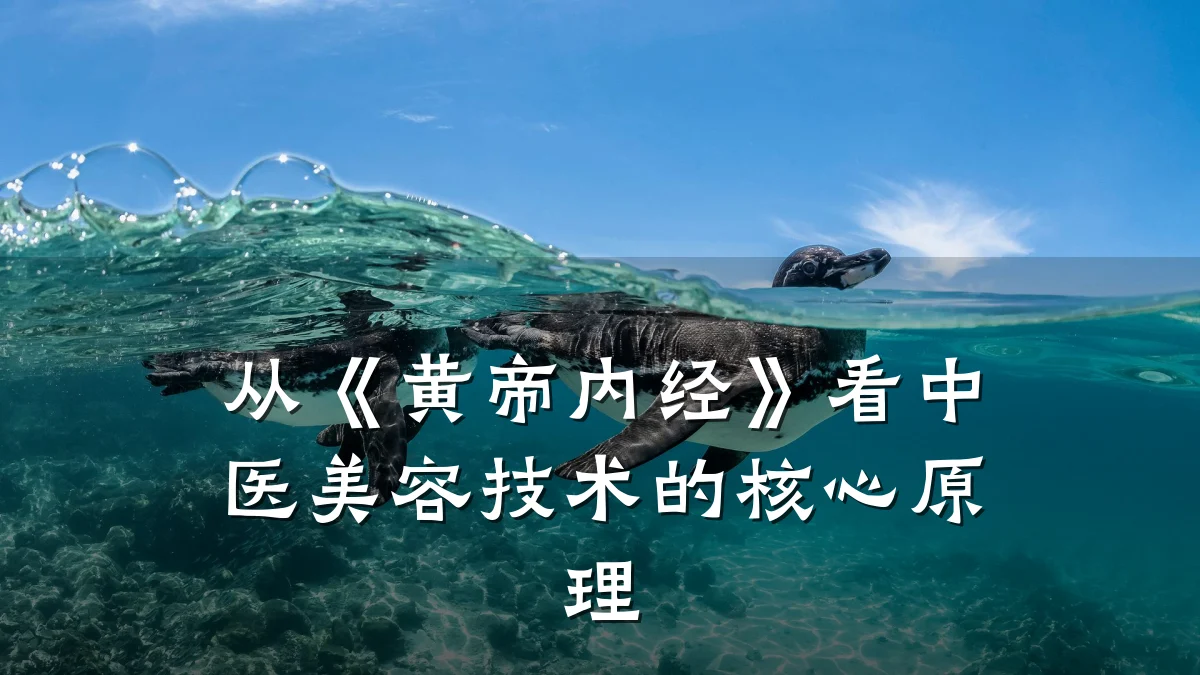 从《黄帝内经》看中医美容技术的核心原理
