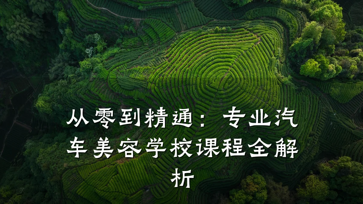 从零到精通：专业汽车美容学校课程全解析