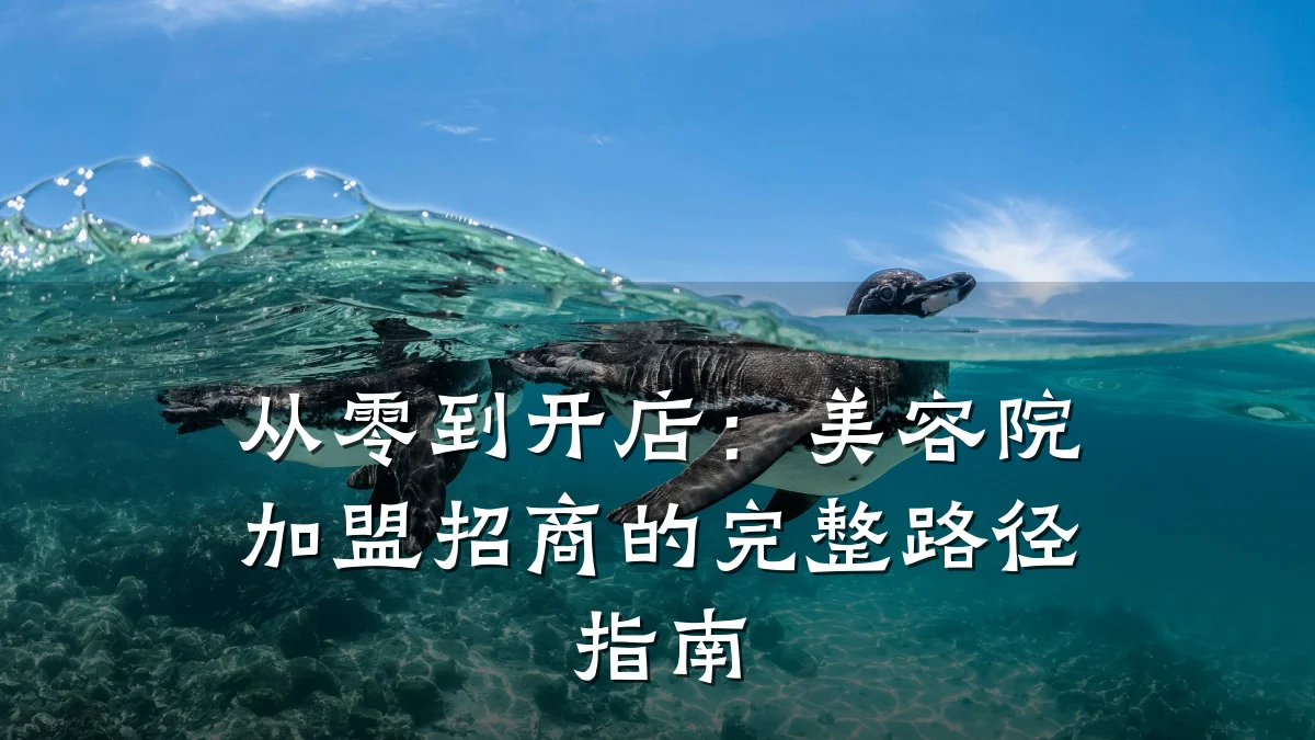 从零到开店：美容院加盟招商的完整路径指南