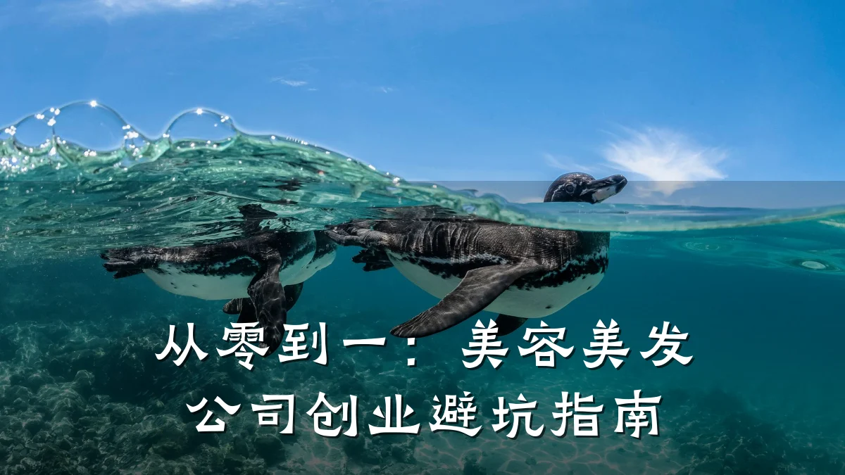 从零到一:美容美发公司创业避坑指南