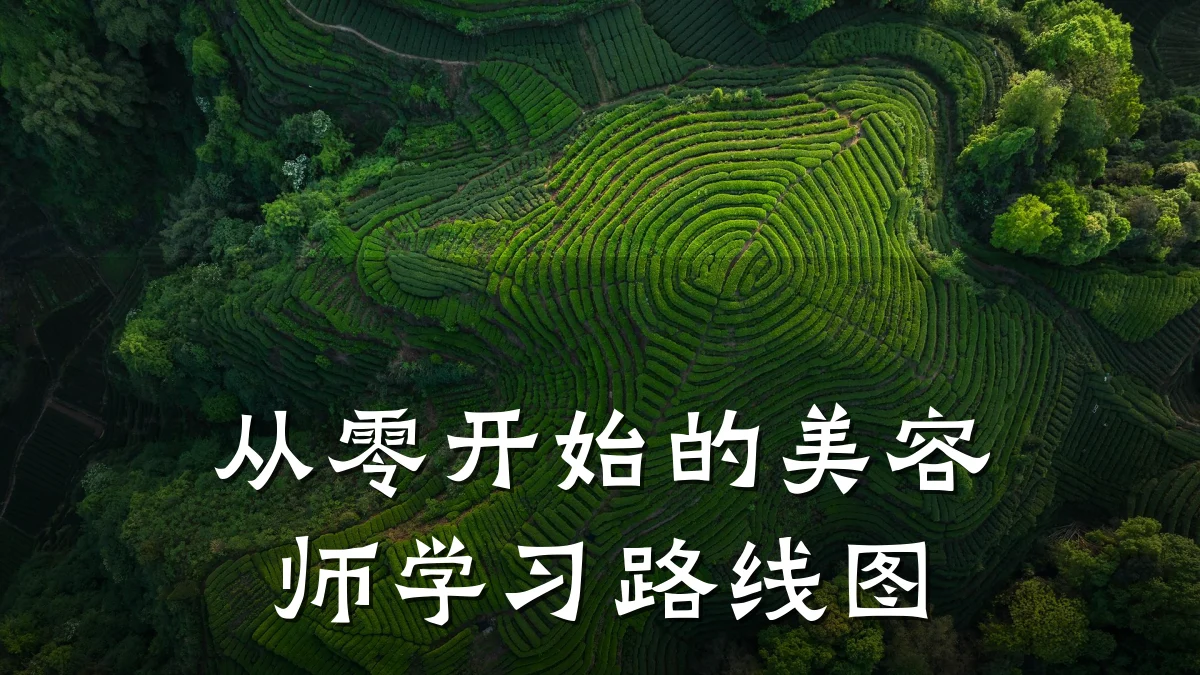 从零开始的美容师学习路线图