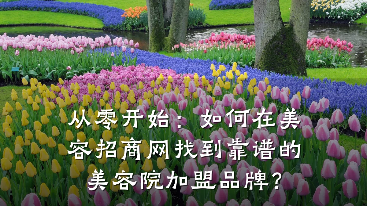 从零开始：如何在美容招商网找到靠谱的美容院加盟品牌？