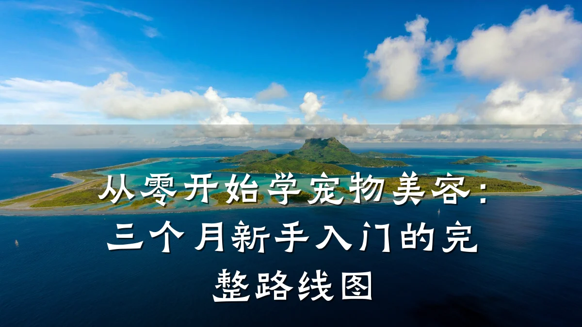 从零开始学宠物美容:三个月新手入门的完整路线图